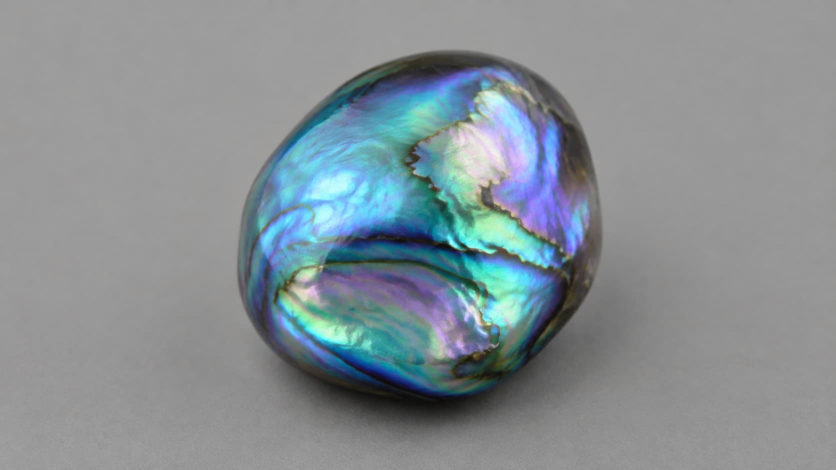 Iridescent blue, green, and purple abalone pearl