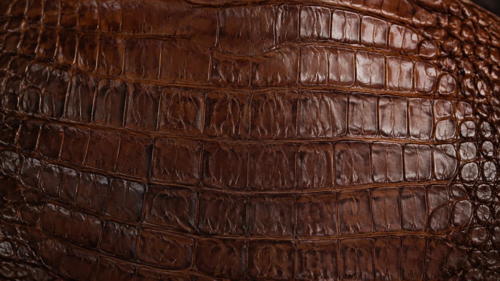 What Exotic Leathers Are and Why They're Heavily Regulated