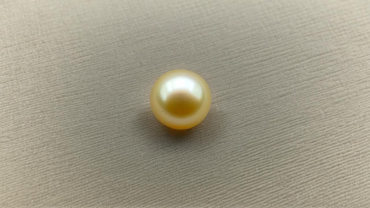 Single golden South Sea pearl on beige linen-textured paper