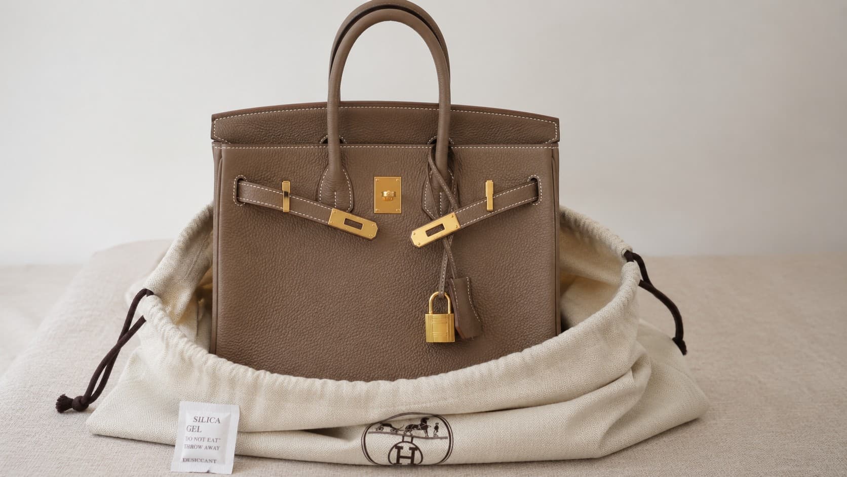 Leather handbag stored upright inside a dust bag with a silica gel packet